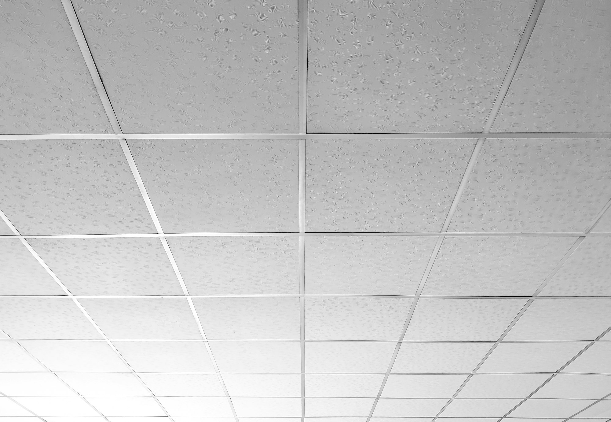 Background of white T bar ceiling tiles with nice light gradation in low angle and perspective view